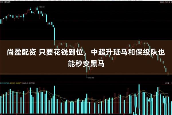 尚盈配资 只要花钱到位，中超升班马和保级队也能秒变黑马