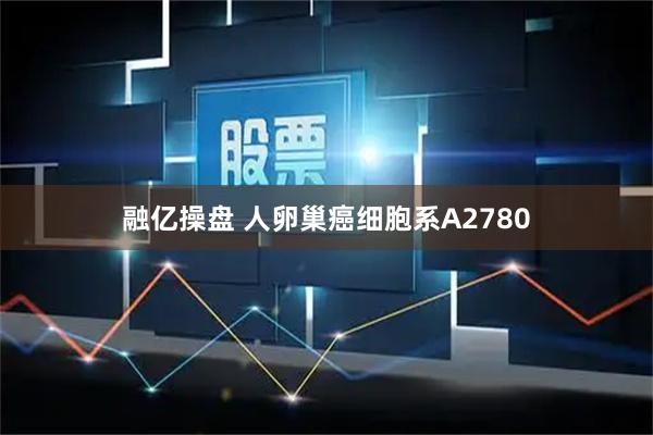 融亿操盘 人卵巢癌细胞系A2780