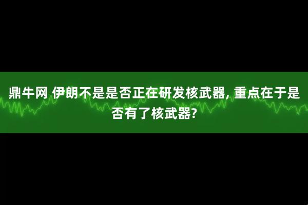 鼎牛网 伊朗不是是否正在研发核武器, 重点在于是否有了核武器?